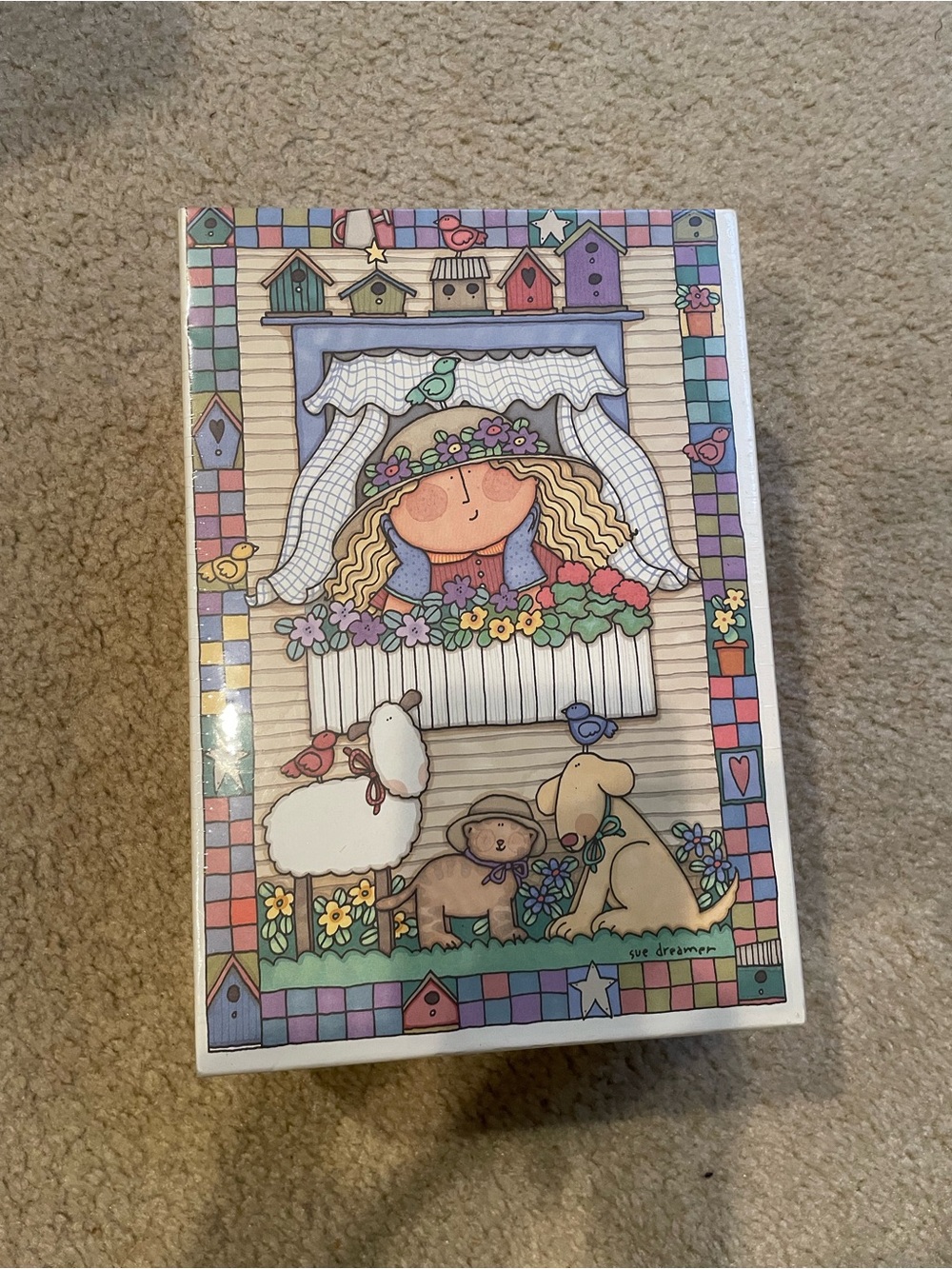 Vintage Sue Dreamer video and storage box